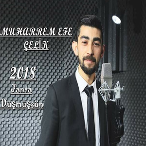 Janta Düşmüşsün