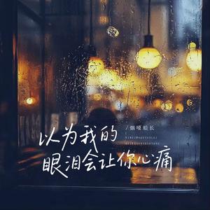 以为我的眼泪会让你心痛