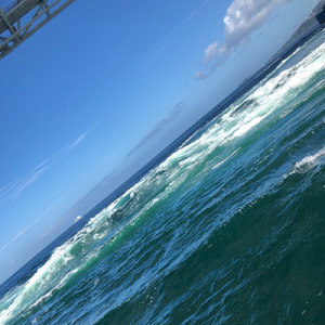 アオテンジョウ