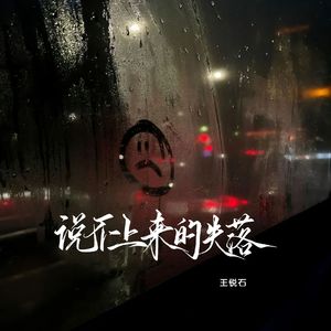 说不上来的失落