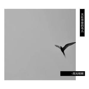 无处停歇的鸟儿
