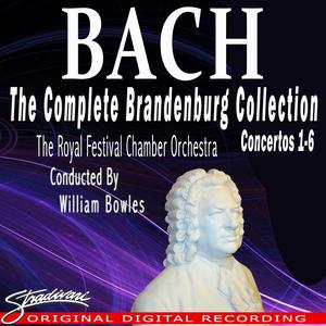 Brandenburg Concerto No. 3 in G Major, BWV 1048: III. Allegro