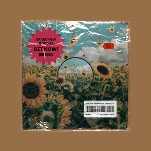 “向日葵” - Love Song Type Beat