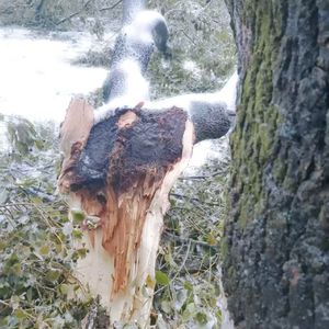 浪漫死在冬天(Prod by McX)