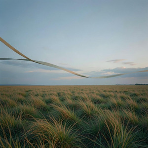 Open Field, Open Sky