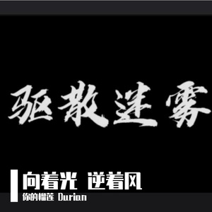 向着光 逆着风