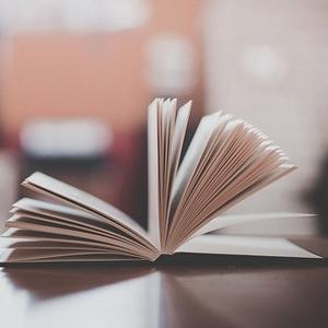 成功源于执著 新干线的开发02