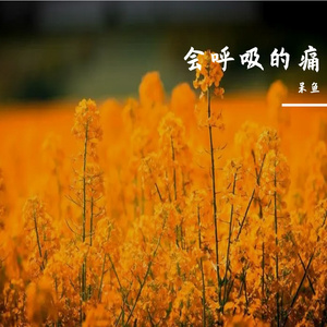 会呼吸的痛