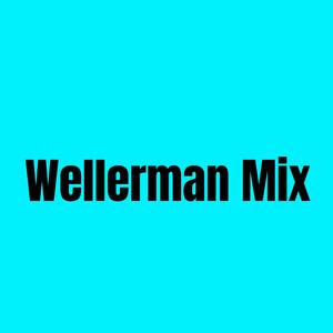 Wellerman - Mix