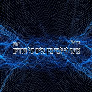 צועד לי לבד בין גלים של תדרים