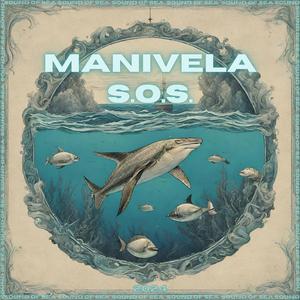 S.O.S. (Special Version)