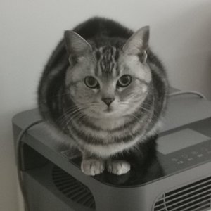 万物之名    作词：和馨(AI辅助)   AI作曲