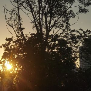 陪你去流浪（翻唱老薛的歌）