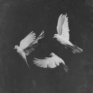 Vox Heaven-lost boy（wardmate remix）