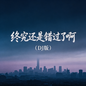 终究还是错过了啊・DJ版