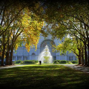 词不达意（温柔女声版）_01