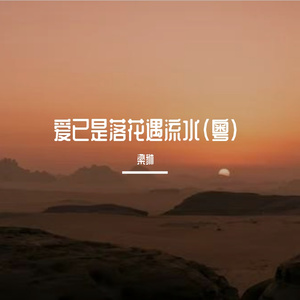 爱已是落花遇流水 (粤语版)