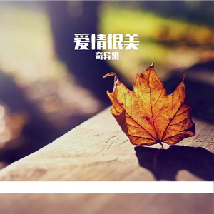 爱情很美-整曲