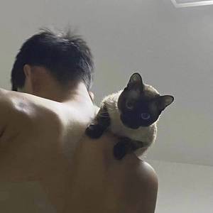 对着太阳扛着枪