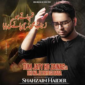 Tum Jaty Ho Zainab Bhe