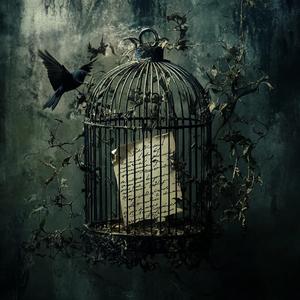 Kafka (Birds Cage)