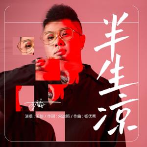 半生凉 (DJ默涵版)