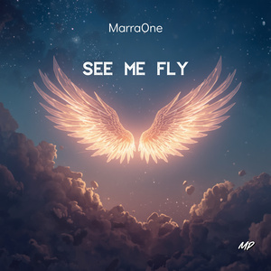 See Me Fly