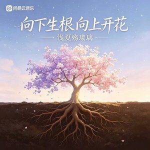 向下生根向上开花