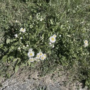 burning bridges like they never mattered at all