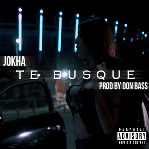 Te Busque