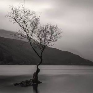 离别信（对你说的话我全部写在这首歌）