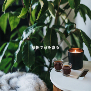 Grand Ambiance for Fun Stories