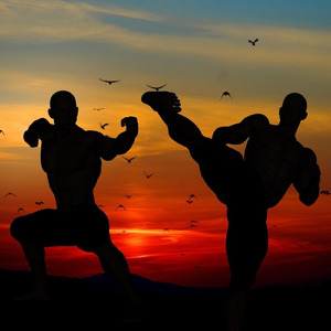 Artes Marciais