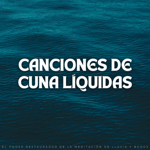 Paisaje De Ensueño Del Bosque