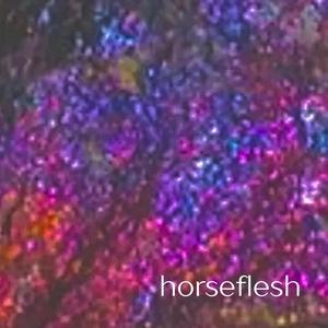 horseflesh