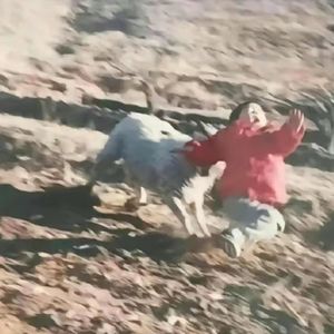 没说过想你 （prod.by morrow）