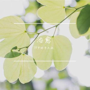 一直很安静（翻自 大邱）