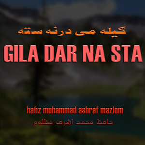 Gila Mi Sawi Per Moqa