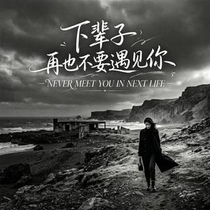 下辈子再也不要遇见你