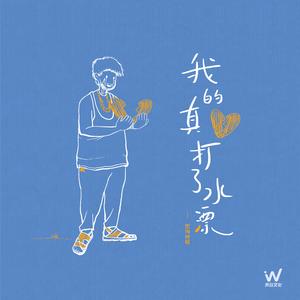 我的真心打水漂 (DJ默涵版伴奏)