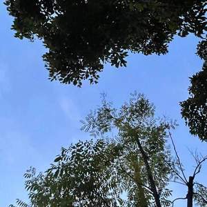 写给小刘（Proud By Ljx Ghost/GOAT Music）