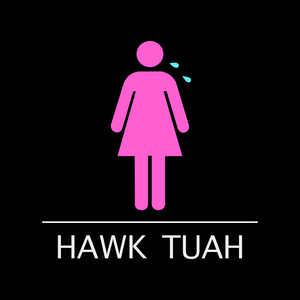 Hawk Tuah