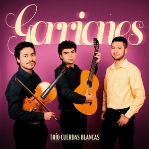 Gorriones (feat. Marcelo Nicolás Carrasco)