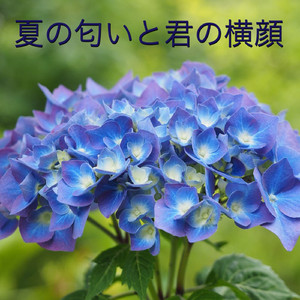 夏の匂いと君の横顔