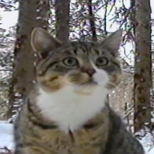 Did you find winter?