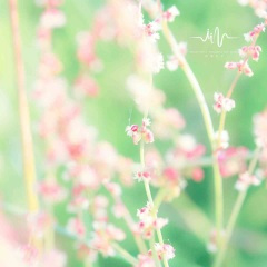 素年凉音 (古筝曲)