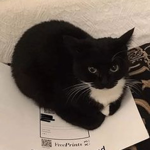 Bump & Grind 2014 (slowed)