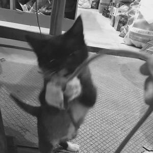 我也想唱歌好听