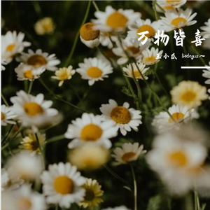 我看到树木过了冬