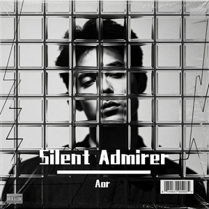Silent Admirer